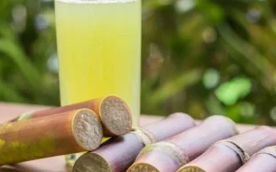 Six Health benefits of Sugarcane Juice