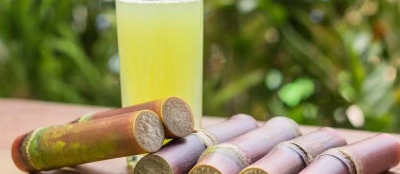 Six Health benefits of Sugarcane Juice banner image