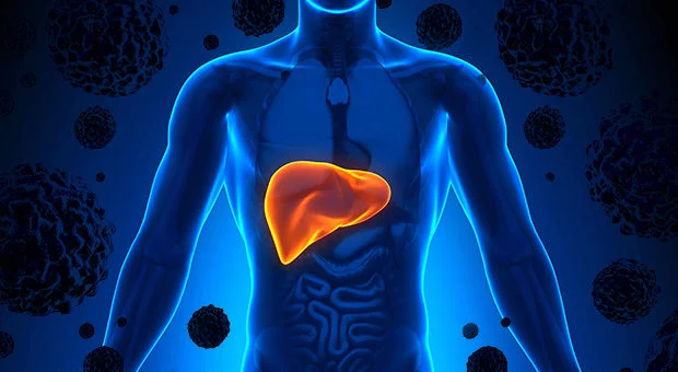 8 effective steps to a healthy liver banner image