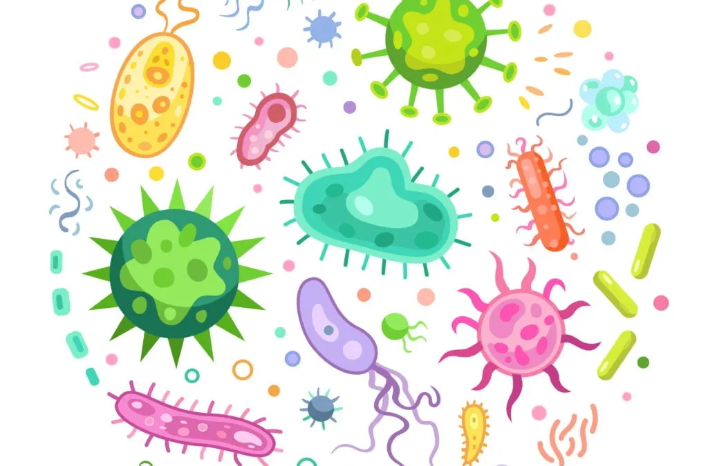 7 Ways to Improve Gut Bacteria banner image