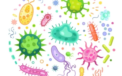 7 Ways to Improve Gut Bacteria