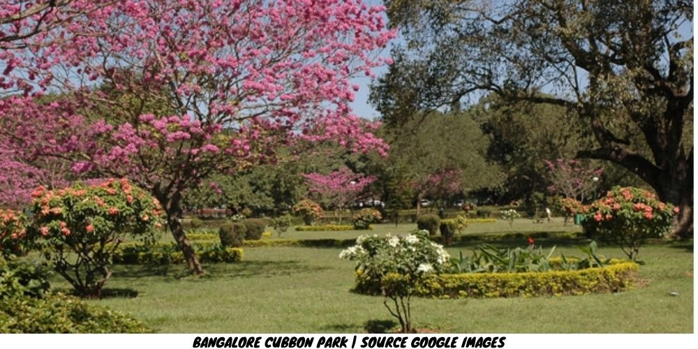 Bangalore Musings - Bengaluru'dayken ziyaret edilecek en iyi yerler