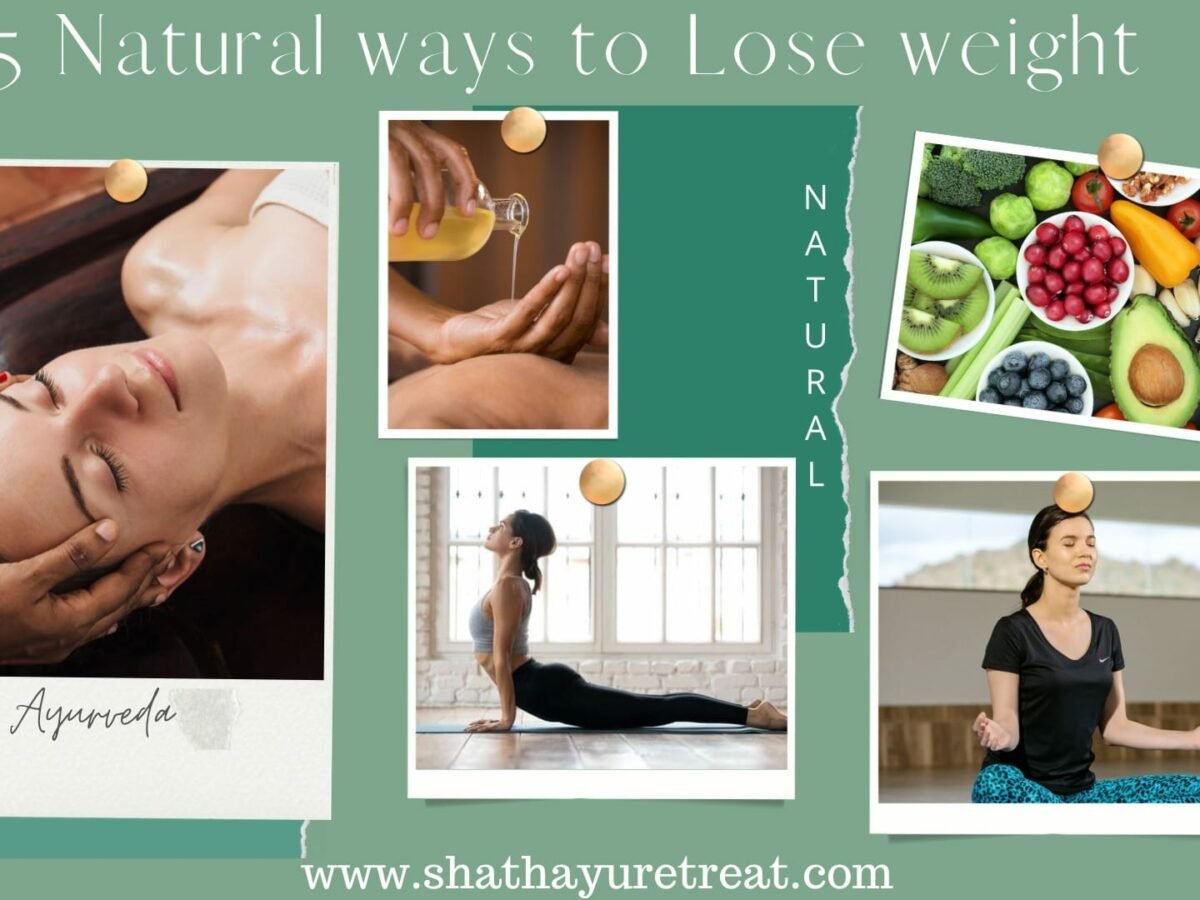 YOGA ASANAS TO LOOSE BELLY FAT - Shathayu Ayurveda Yoga Retreat