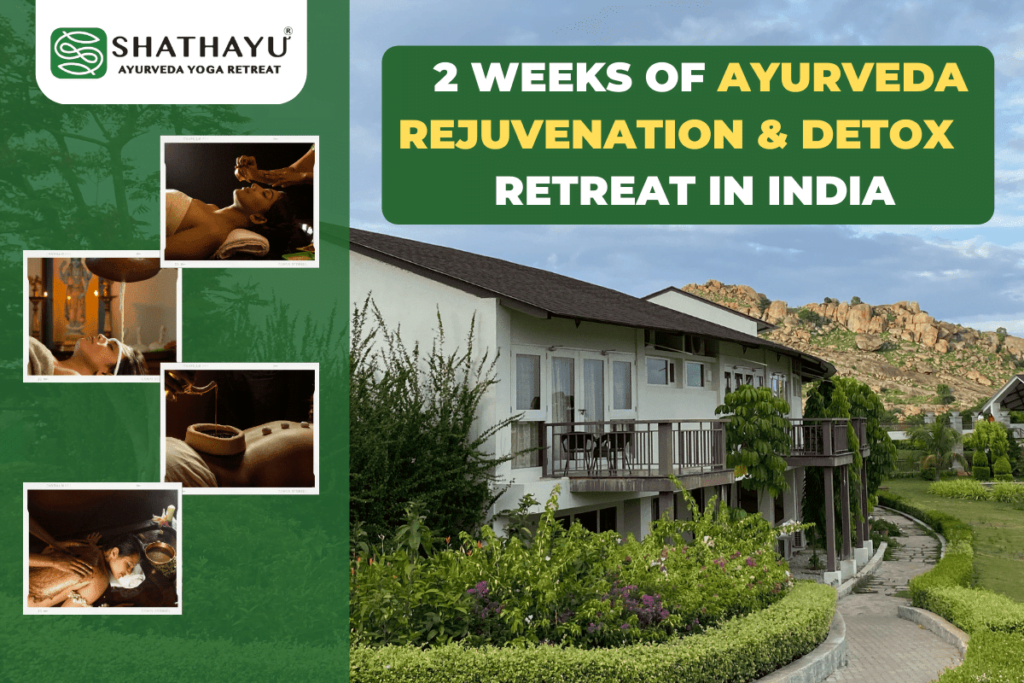Ayurveda Rejuvenation & Detox Retreat in India