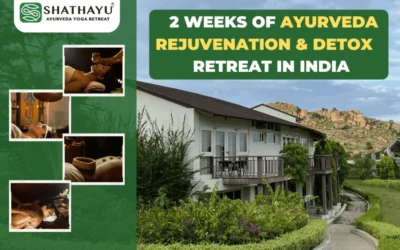 What to expect on Two weeks of Ayurveda rejuvenation and detox retreat in India