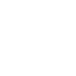 Chronic sinusitis