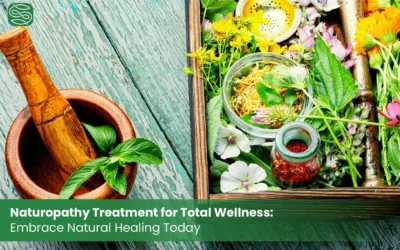 Naturopathy Treatment for Total Wellness: Embrace Natural Healing Today