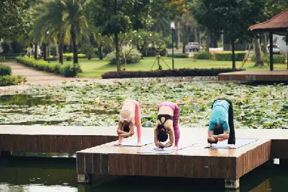 yoga section image