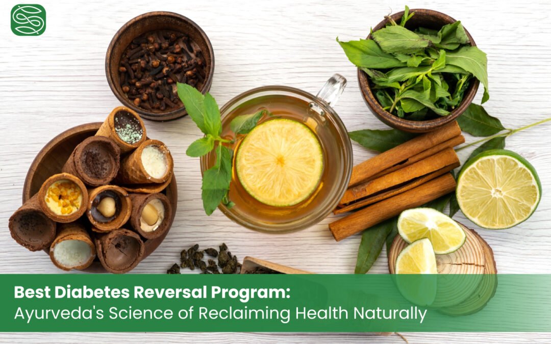 Best Diabetes Reversal Program: Ayurveda’s Science of Reclaiming Health Naturally